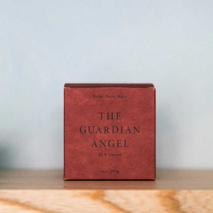 Soap, "The guardian angel"