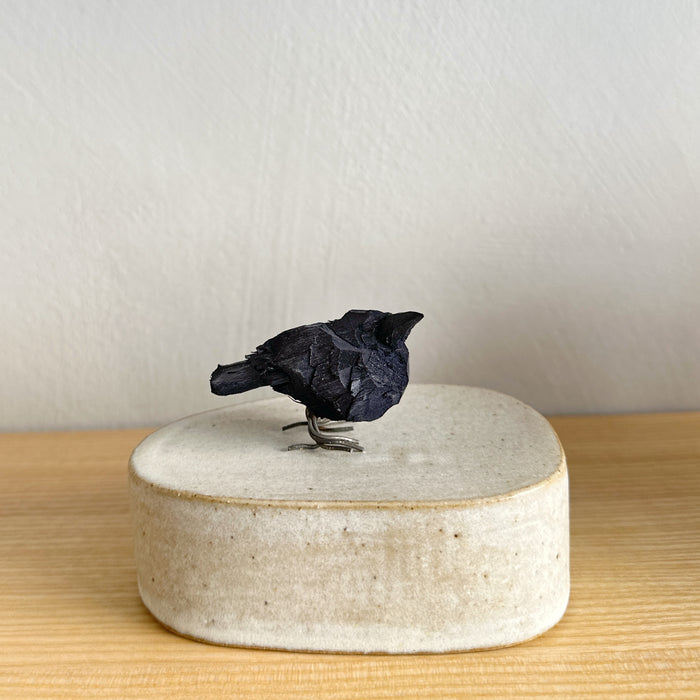 Crow bird, mini