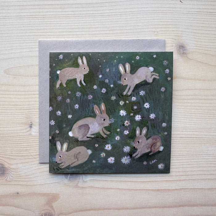 Cards, "Rabbits"
