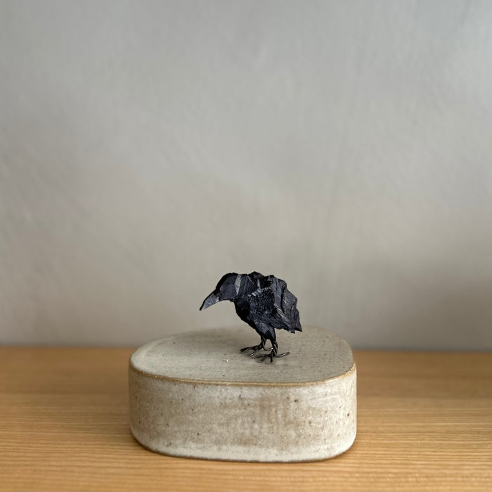 Crow bird, mini