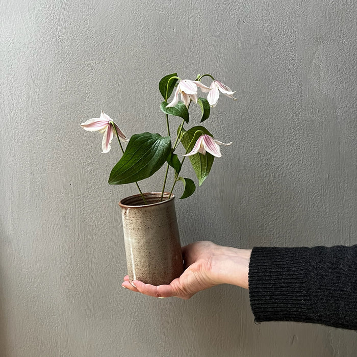 Small straight vase