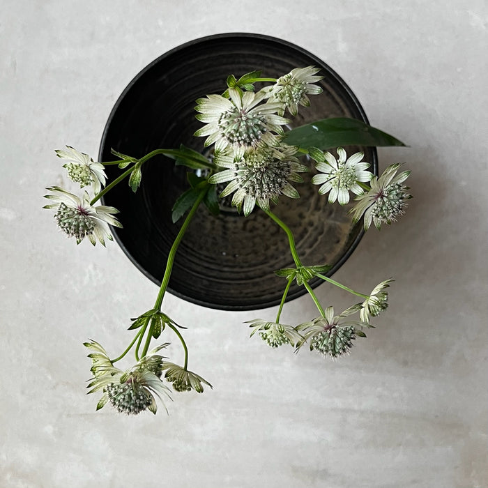 Bowl-shaped vase, brown