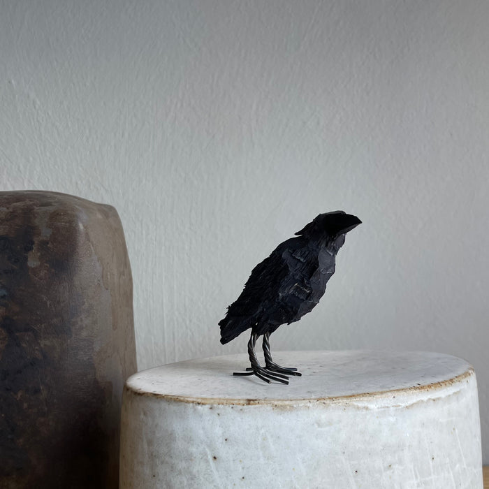 Kråkfågel, mini