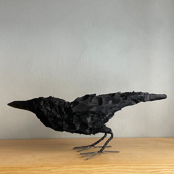 Crow bird, large