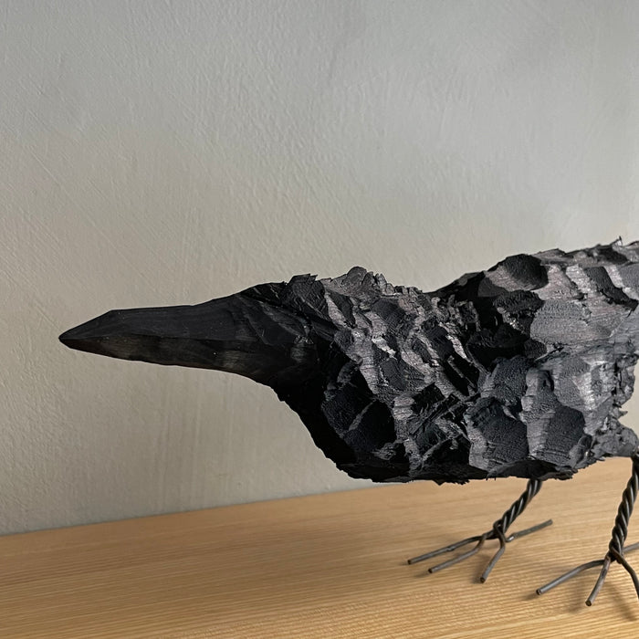 Crow bird, large