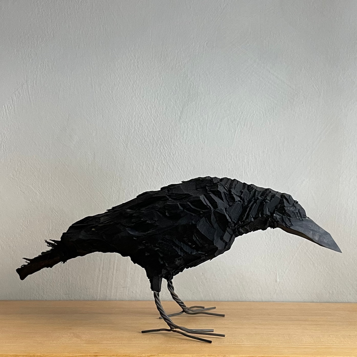 Crow bird, large