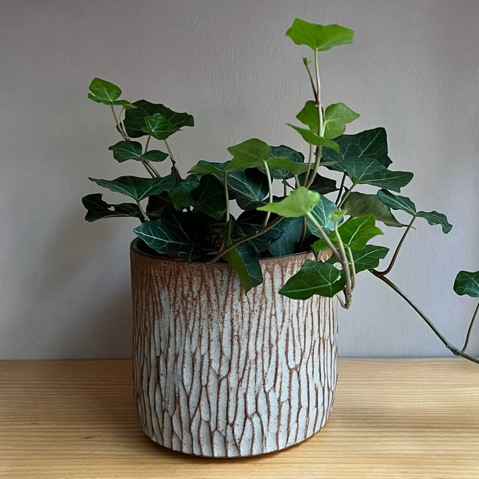 Kruka med struktur
