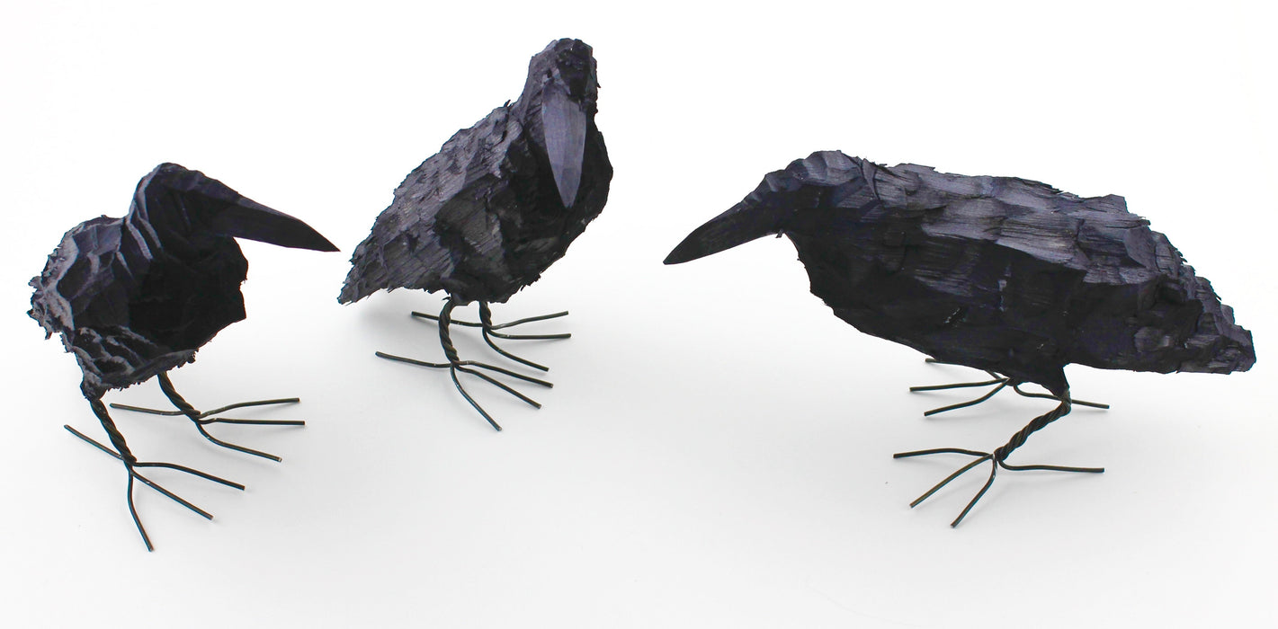 Crow bird, small