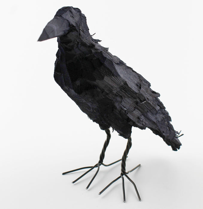 Crow bird, small