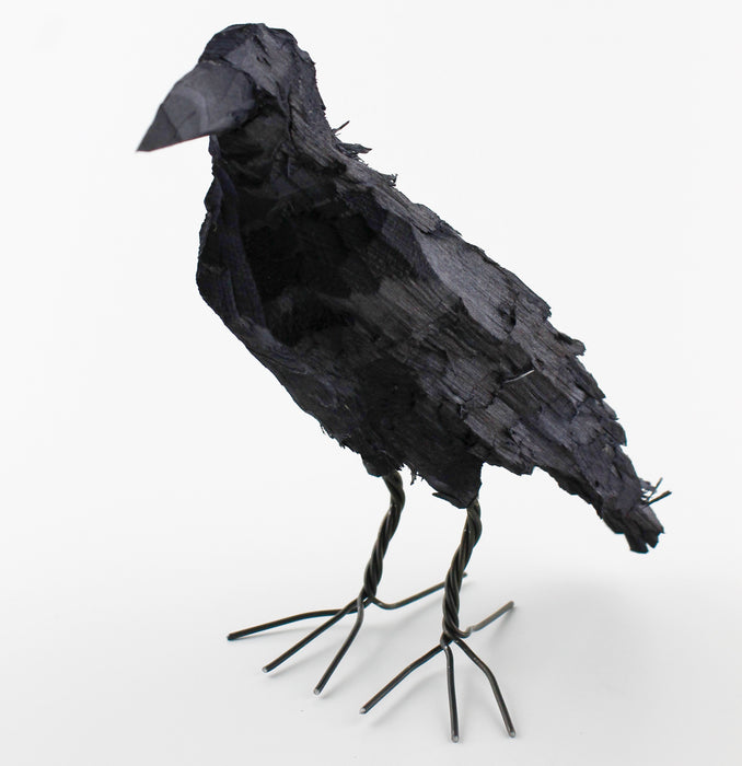 Crow bird, large